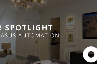 Dealer Spotlight: Pegasus Automation