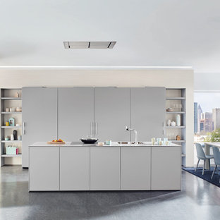 Huge contemporary kitchen pantry remodeling - Kitchen pantry - huge contemporary single-wall gray floor and linoleum floor kitchen pantry idea in Hamburg with gray cabinets, open cabinets and no island