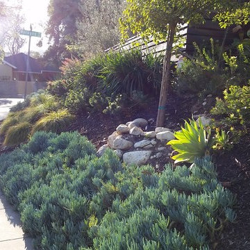 General Clean-up & Plant Additions