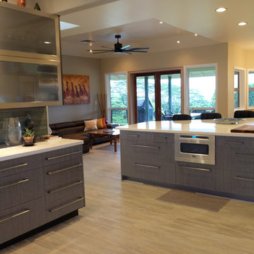 Contemporary kitchen remodel