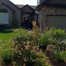 Landscape Ideas