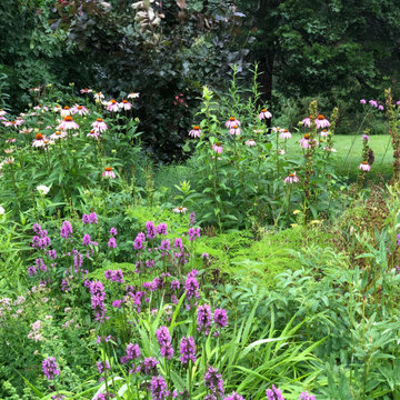 Mixed Planting Border