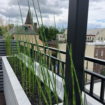 Jersey City Roof Garden
