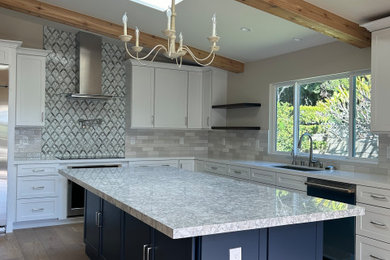 Kitchen - farmhouse kitchen idea in Los Angeles with shaker cabinets, white cabinets and an island