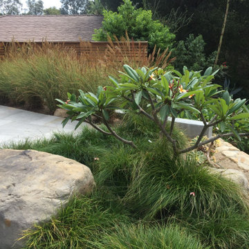 San Roque Contemporary Landscape Renovation