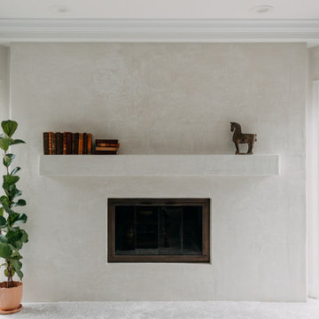 Bloomfield Hills Fireplace Remodel