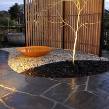 Pizza Oven