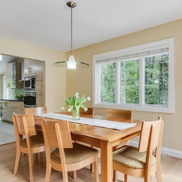 Annapolis Modern Kitchen