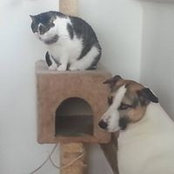 Foto von Sonja Zunkovic