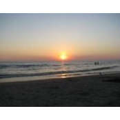 Laura Samms's photo