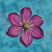 'Kristine Cluney's photo