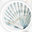 De Shell Design Lab