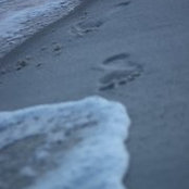 Mandy Smith's photo