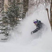 Mark Parsons's photo