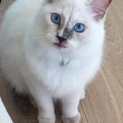 Kiara Richardson's photo