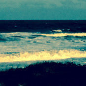 Suzanne Mccann's photo