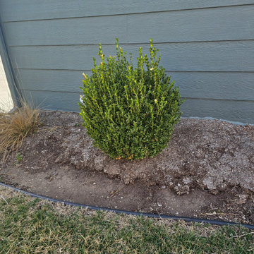 Newton Firebox Flowerbed
