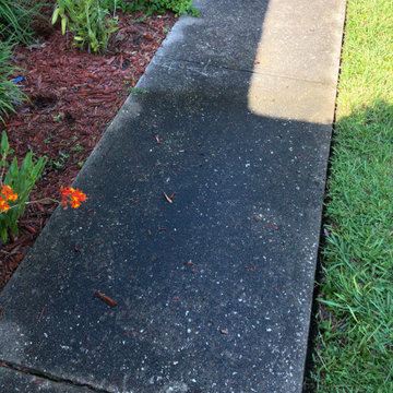Pressure Washing