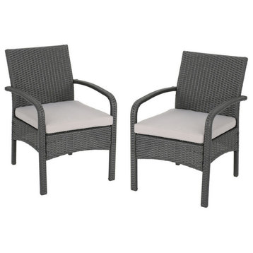 GDF Studio Otto Outdoor Wicker Club Chairs, Set of 2, Silver/Gray