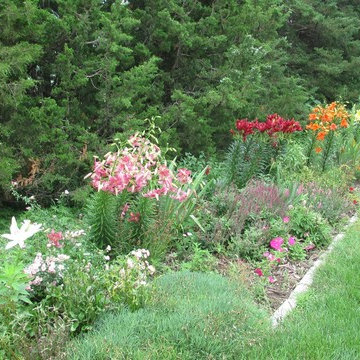 Beth's Garden 2014