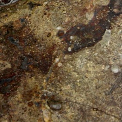 Brown Fossil - Kitchen Benchtops