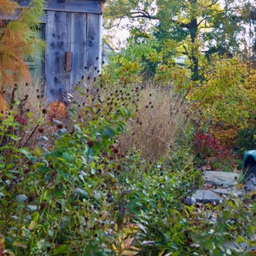 Narberth, PA - Landscape Restoration & Hardscaping