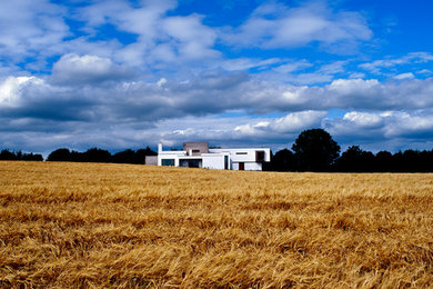 House in a Field