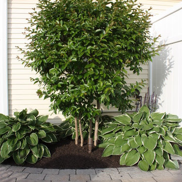 Planting Services