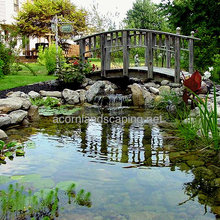 Pond Ideas