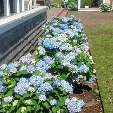 My Landscaping Work