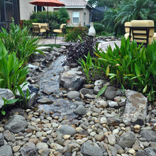 Dry creek bed