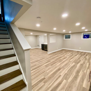 Modern Basement Remodel