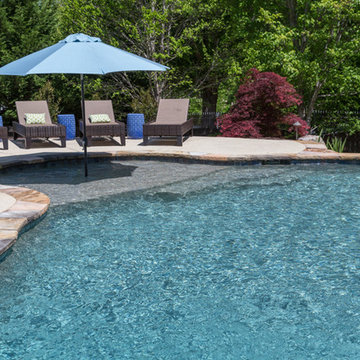 Backyard Oasis