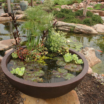 Container Water Gardens