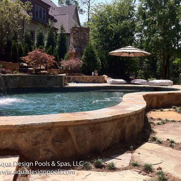 Free Form Pool with All Features