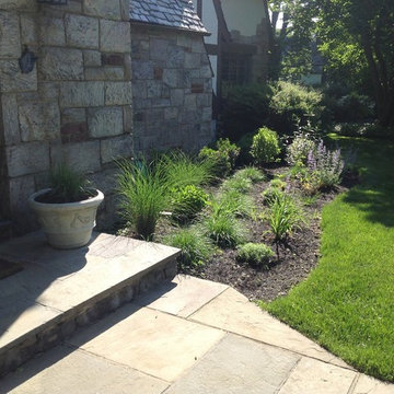 Natural Landscape Design with Native Plants in Suburban Scarsdale
