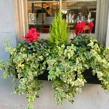 Southern Window Boxes