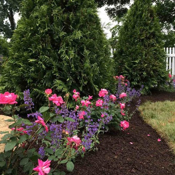 English Gardens