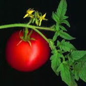 alayna johnson's photo