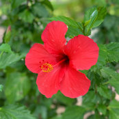 Michael Greene's photo
