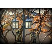Cindy Wolf's photo