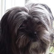 Lianne Cooper-Wagner's photo
