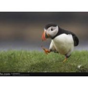Mona Moscardini's photo
