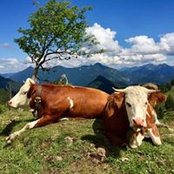Michael Stephan's photo