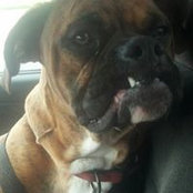 Michael Stults's photo