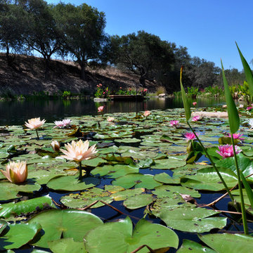 Ranch Reservoir & Nectar Garden w/ BioHaven Floating Island