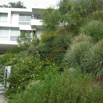 Pacific Palisades