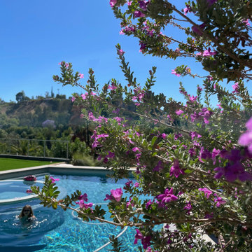 DSMA Custom Pool and Landscaping