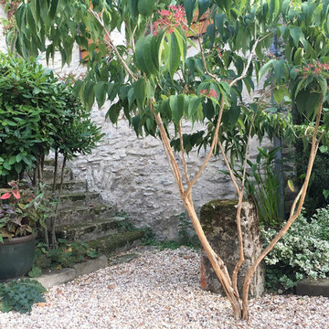 Aménagement paysager d'une cour dans la vallée de la Seine