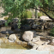 Landscape Ideas